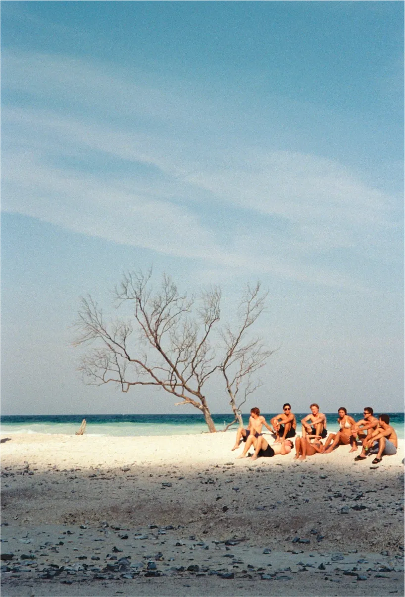A group of friends sitting together on a white sand beach beside a bare tree.