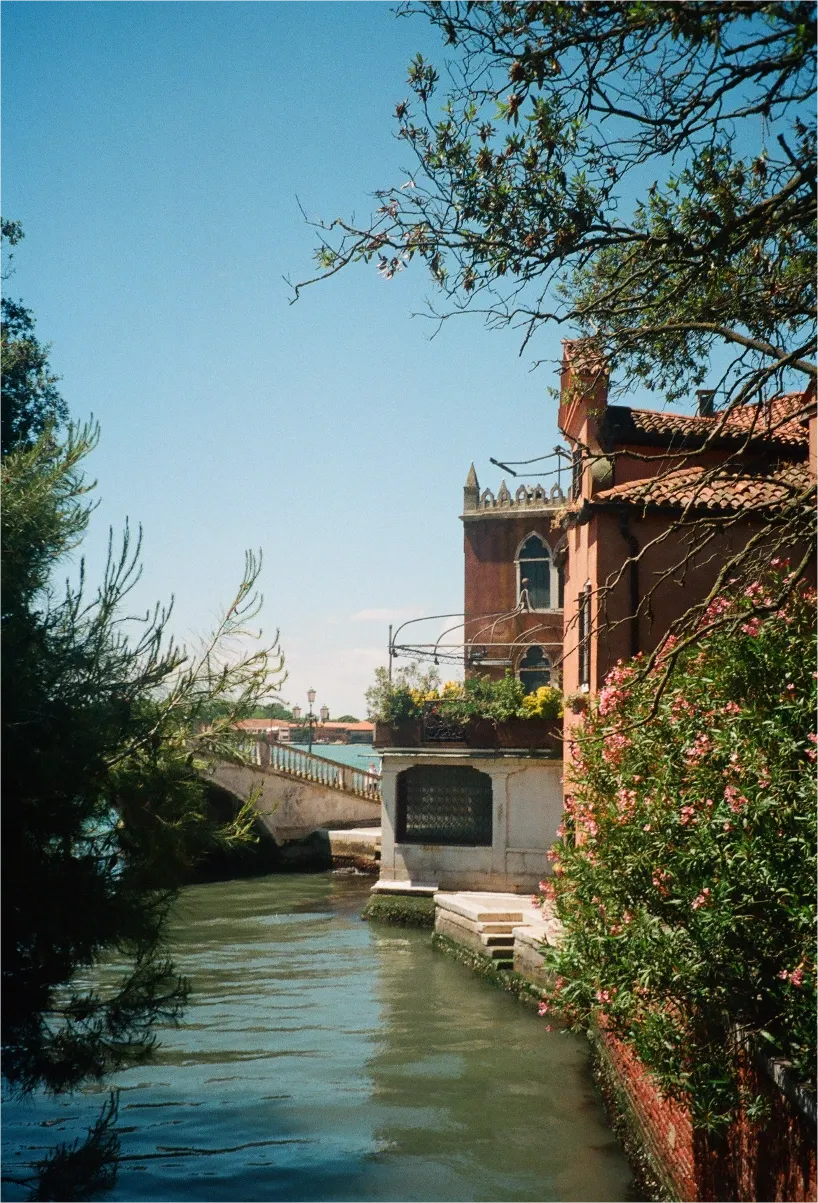 A quiet Venice canal beside a Gothic building with flowering shrubs, a bridge in the background.